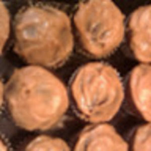 Meet your Posher, J.